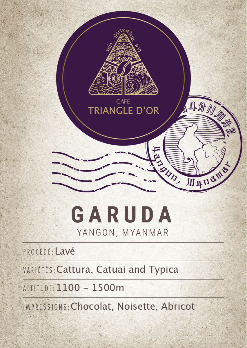 Garuda - Yangon, Myanmar – Golden Triangle Coffee