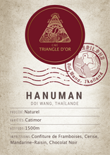 Charger l&#39;image dans la galerie, Hanuman - Chiang Mai, Thaïlande
